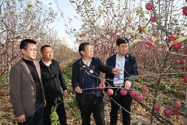 2我校专家在南沟村山地苹果果园现场指导1.jpg